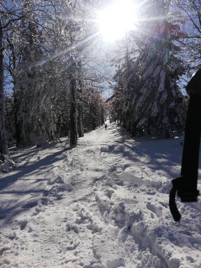 Ubytování v soukromí Pod Szyndzielnia *