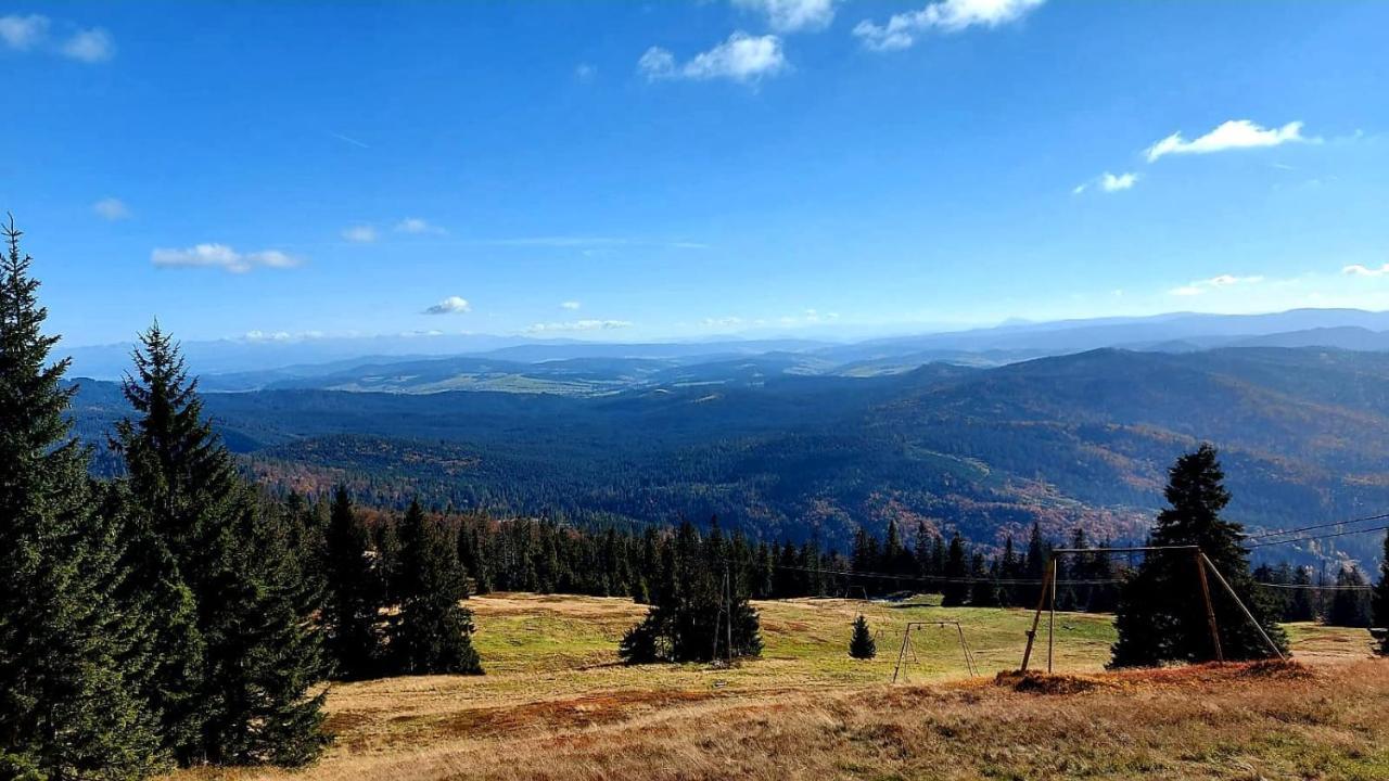 Pod Szyndzielnia Bielsko-Biala